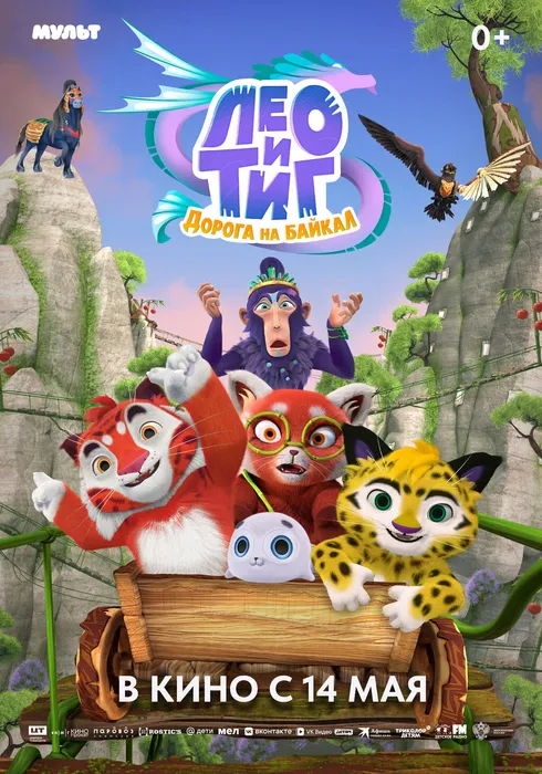 24115